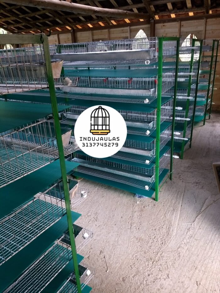 JAULAS PARA CODORNIZ MODULO VERTICAL PARA 200 AVES