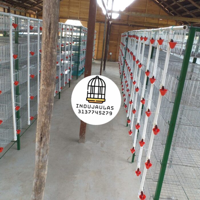 JAULAS PARA CODORNIZ MODULO VERTICAL PARA 200 AVES