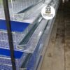 JAULAS PARA CODORNIZ MODULO VERTICAL PARA 200 AVES