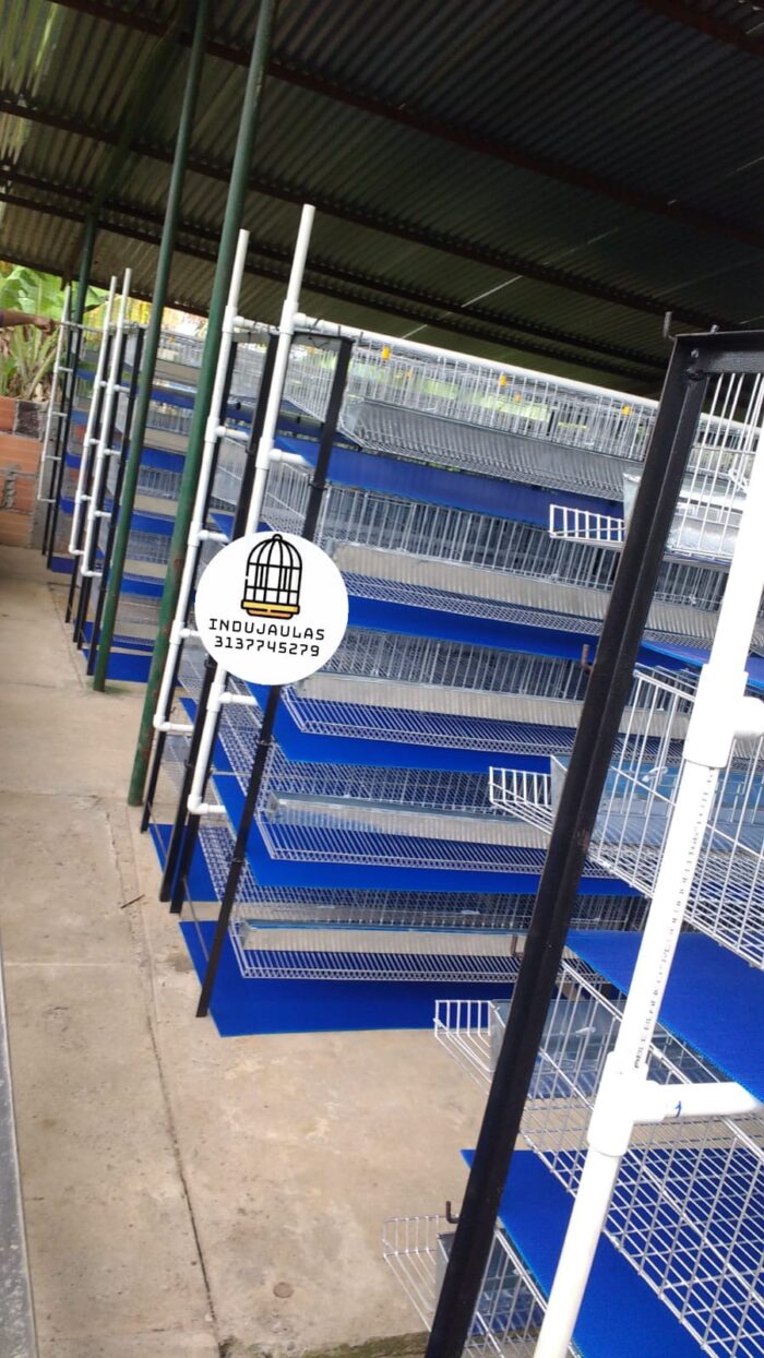 JAULAS PARA CODORNIZ MODULO VERTICAL PARA 200 AVES