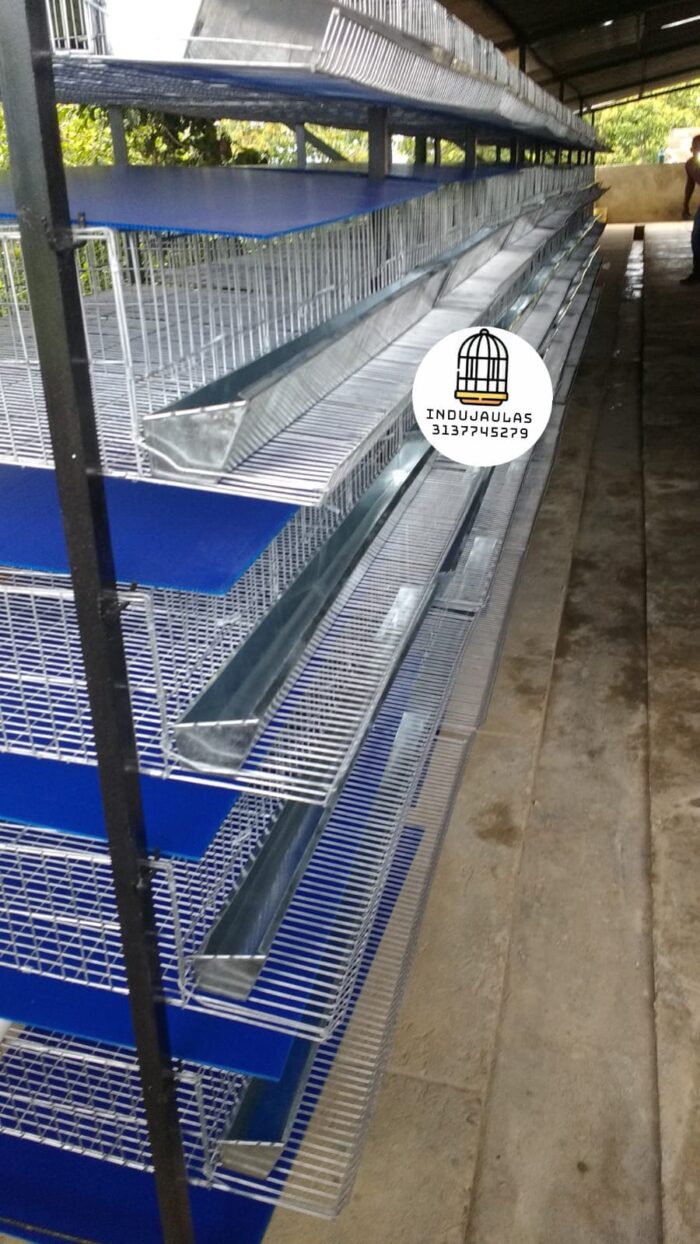 JAULAS PARA CODORNIZ MODULO VERTICAL PARA 200 AVES