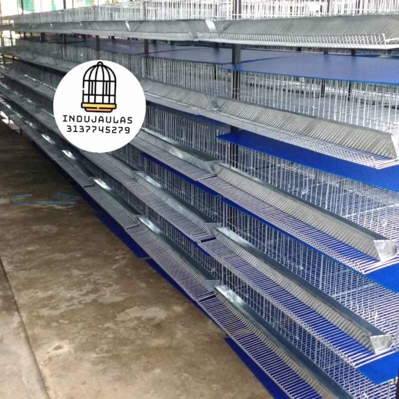 JAULAS PARA CODORNIZ MODULOS VERTICALES PARA 150 AVES