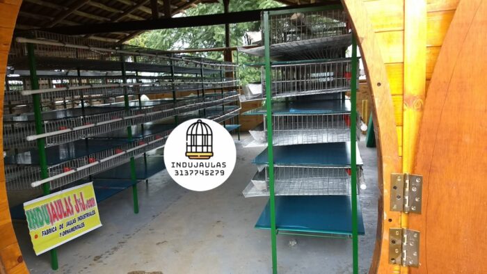 JAULAS PARA CODORNIZ MODULO VERTICAL PARA 200 AVES