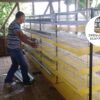 JAULAS PARA CODORNIZ MODULO VERTICAL PARA 200 AVES