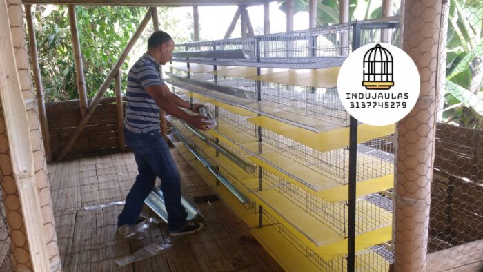 JAULAS PARA CODORNIZ MODULO VERTICAL PARA 200 AVES