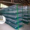 JAULAS PARA CODORNIZ MODULO VERTICAL PARA 200 AVES