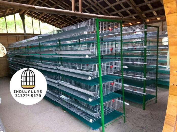 JAULAS PARA CODORNIZ MODULO VERTICAL PARA 200 AVES