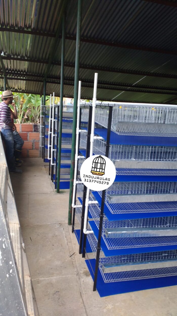 JAULAS PARA CODORNIZ MODULO VERTICAL PARA 200 AVES
