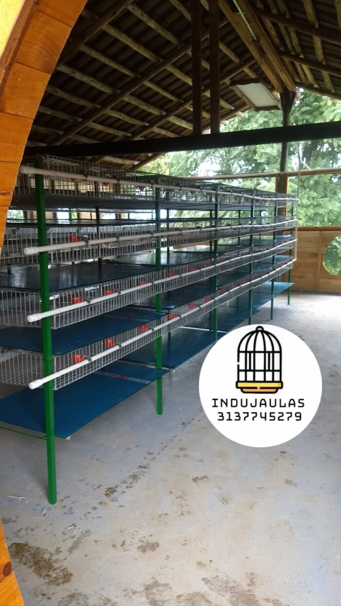 JAULAS PARA CODORNIZ MODULO VERTICAL PARA 200 AVES