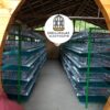 JAULAS PARA CODORNIZ MODULO VERTICAL PARA 200 AVES