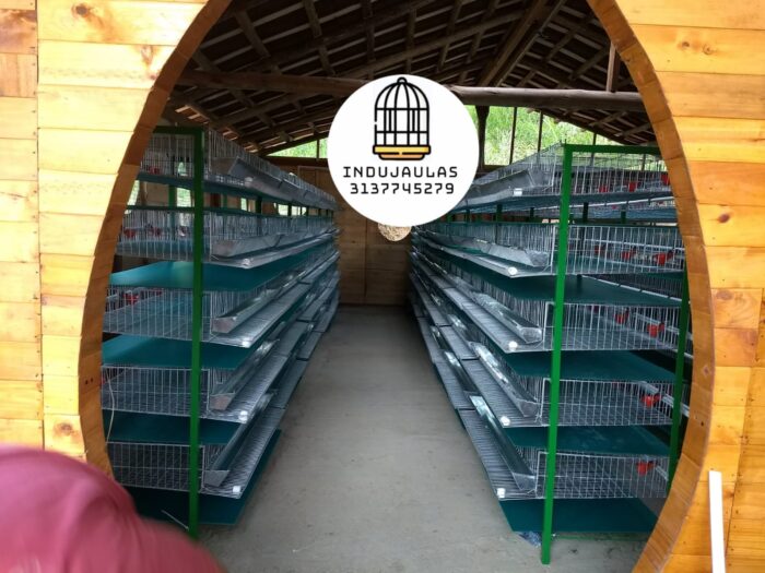 JAULAS PARA CODORNIZ MODULO VERTICAL PARA 200 AVES