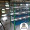 JAULAS PARA CODORNIZ MODULO VERTICAL PARA 200 AVES