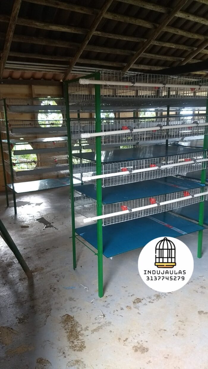 JAULAS PARA CODORNIZ MODULO VERTICAL PARA 200 AVES