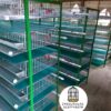 JAULAS PARA CODORNIZ MODULO VERTICAL PARA 200 AVES