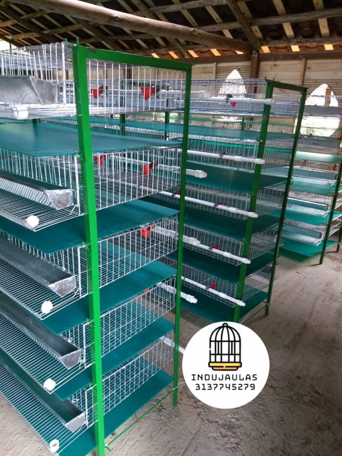 JAULAS PARA CODORNIZ MODULO VERTICAL PARA 200 AVES