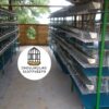 JAULAS PARA CODORNIZ MODULO VERTICAL PARA 200 AVES
