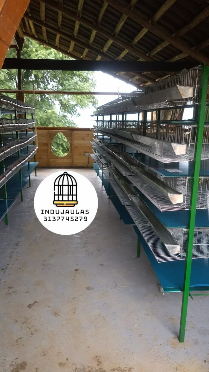 JAULAS PARA CODORNIZ MODULO VERTICAL PARA 200 AVES