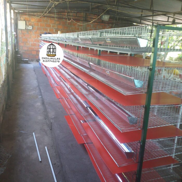 JAULAS PARA CODORNIZ MODULO VERTICAL PARA 200 AVES