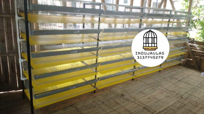 JAULAS PARA CODORNIZ MODULO VERTICAL PARA 200 AVES