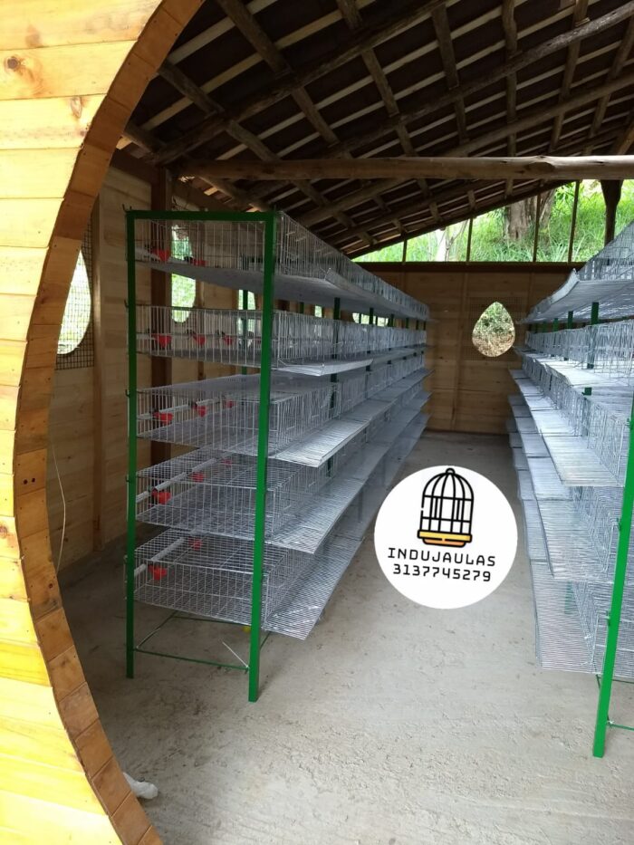JAULAS PARA CODORNIZ MODULO VERTICAL PARA 200 AVES