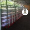 JAULAS PARA CODORNIZ MODULO VERTICAL PARA 200 AVES