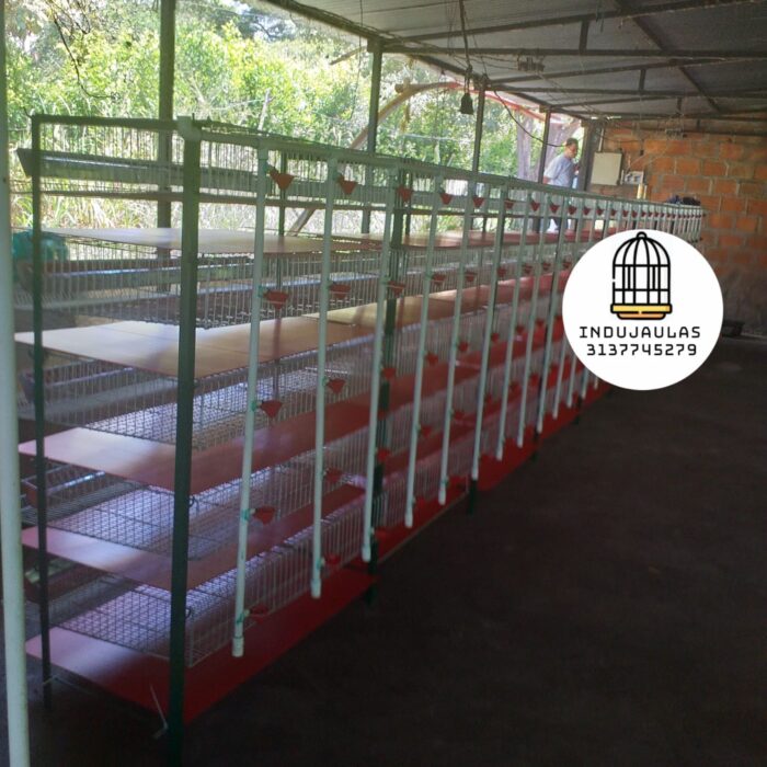 JAULAS PARA CODORNIZ MODULO VERTICAL PARA 200 AVES