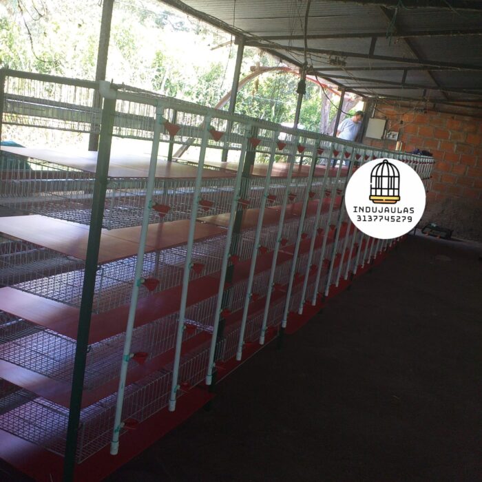 JAULAS PARA CODORNIZ MODULO VERTICAL PARA 200 AVES