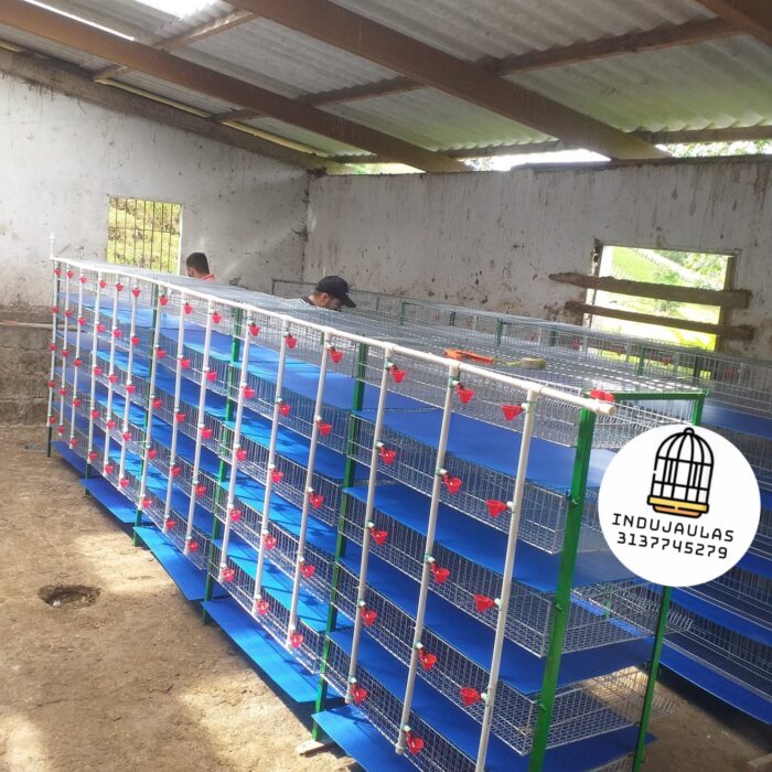 JAULAS PARA CODORNIZ MODULO VERTICAL PARA 200 AVES