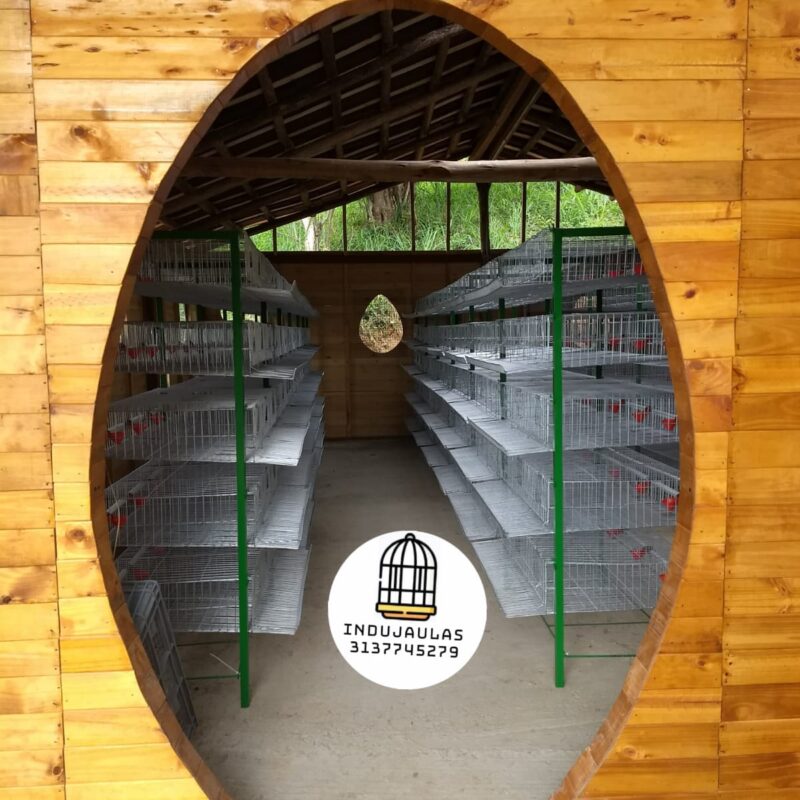 JAULAS PARA CODORNIZ MODULO VERTICAL PARA 200 AVES
