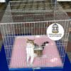 JAULAS PARA PERROS O GATOS