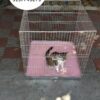 JAULAS PARA PERROS O GATOS