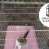 JAULAS PARA PERROS O GATOS