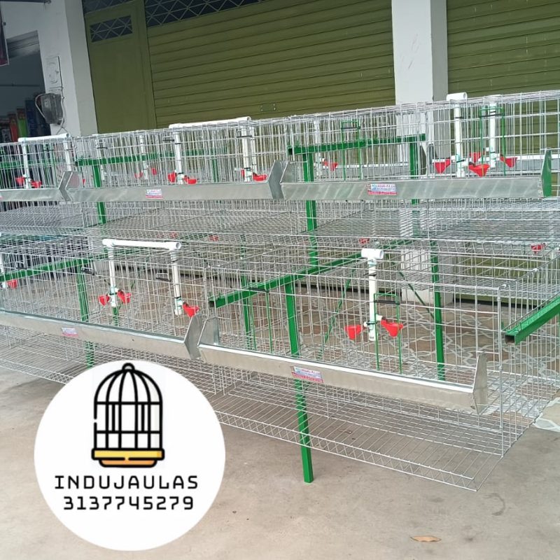 JAULAS PARA GALLINA MODULO PIRAMIDAL PARA 36 AVES