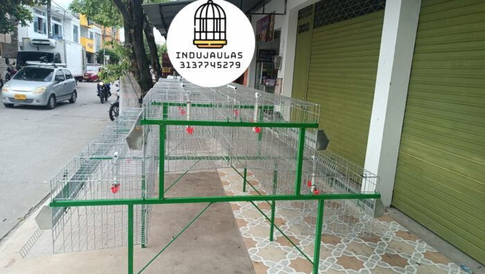 JAULAS PARA GALLINA MODULO PIRAMIDAL PARA 36 AVES