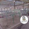JAULAS PARA GALLINA MODULO PIRAMIDAL PARA 36 AVES