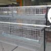JAULAS PARA GALLINA MODULO PIRAMIDAL PARA 36 AVES