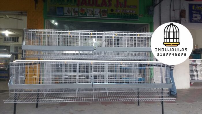 JAULAS PARA GALLINA MODULO PIRAMIDAL PARA 36 AVES