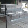 JAULAS PARA GALLINA MODULO PIRAMIDAL PARA 36 AVES