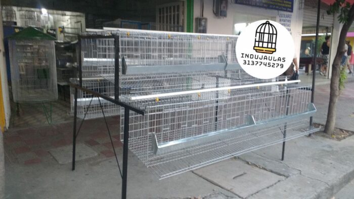JAULAS PARA GALLINA MODULO PIRAMIDAL PARA 36 AVES