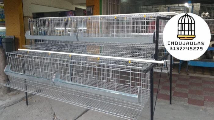 JAULAS PARA GALLINA MODULO PIRAMIDAL PARA 36 AVES