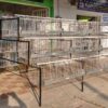 jaulas piramidal 54 gallinas 1 JAULAS PARA GALLINA MODULO PIRAMIDAL PARA 54 AVES