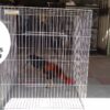 rejones para gallos 1 JAULAS PARA GALLOS FINOS - REJONES