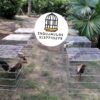 rejones para gallos 7 JAULAS PARA GALLOS FINOS - REJONES