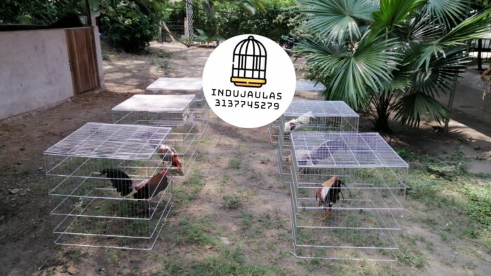 rejones para gallos 7 JAULAS PARA GALLOS FINOS - REJONES
