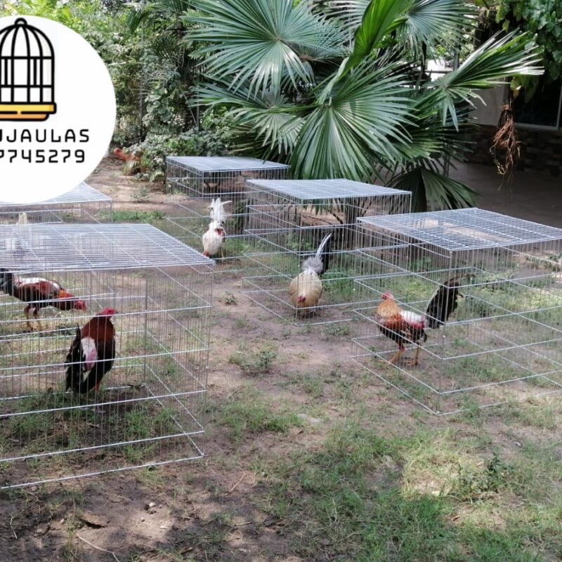 JAULAS PARA GALLOS FINOS - REJONES