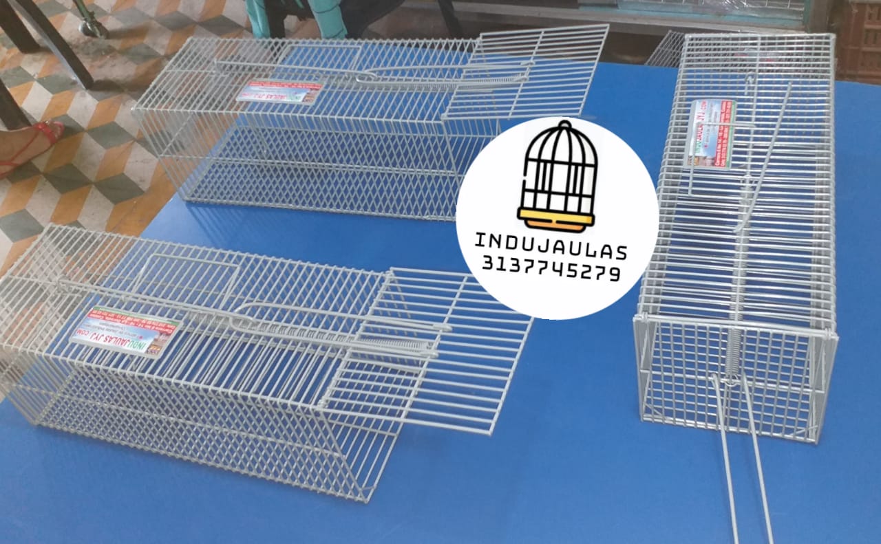 JAULA PARA  ROEDORES - TRAMPA