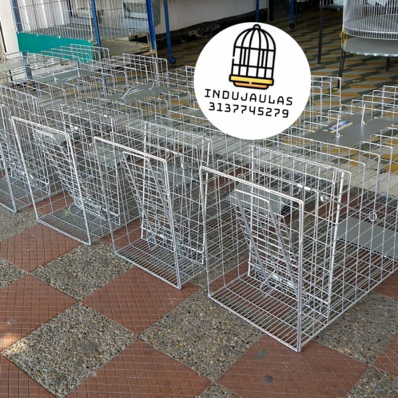 JAULA TRAMPA PARA GATOS
