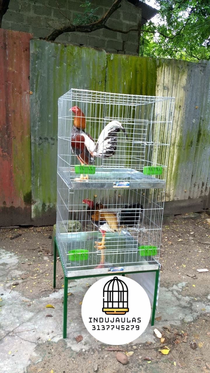 JAULAS PARA GALLOS FINOS
