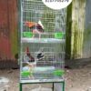 JAULAS PARA GALLOS FINOS
