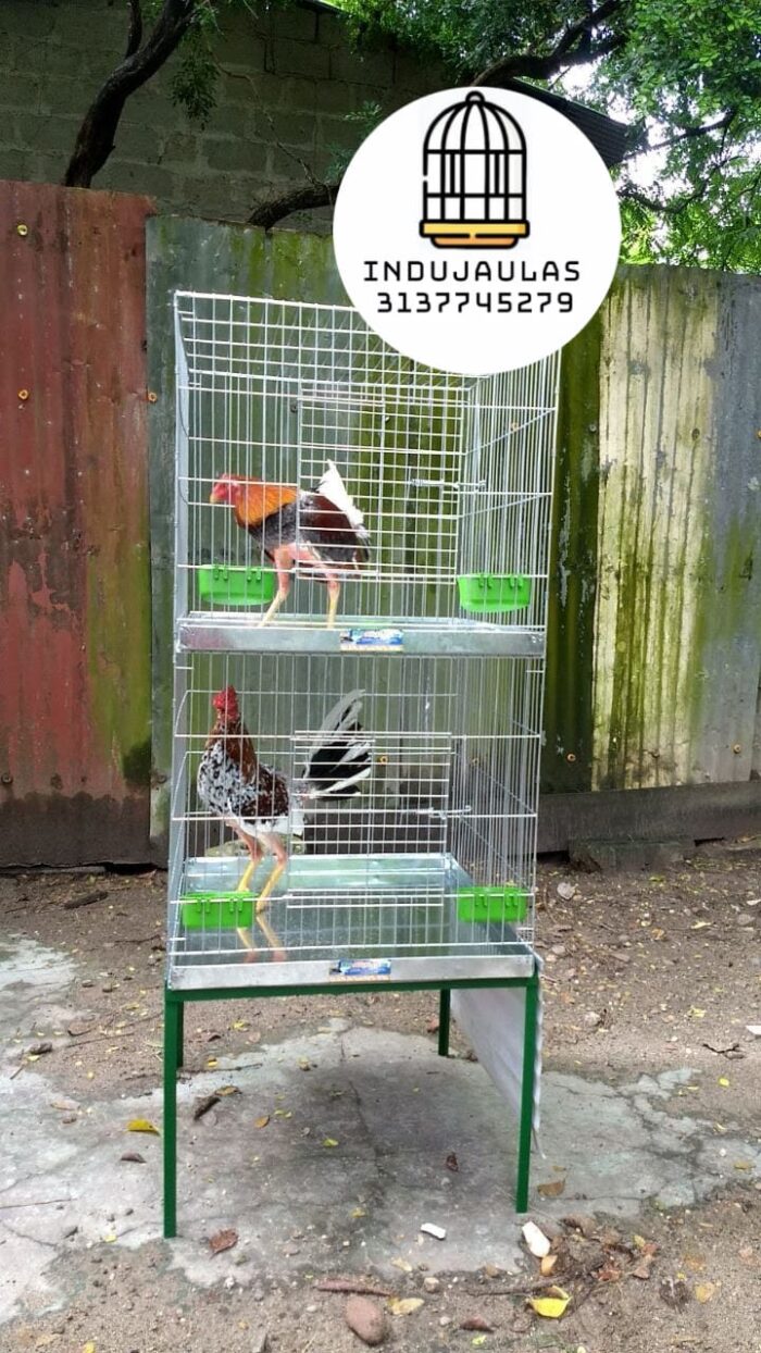 JAULAS PARA GALLOS FINOS